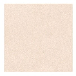 PORCEL.ROCHA RETIF.POL. 60X60 HD EVORA (NOVO)