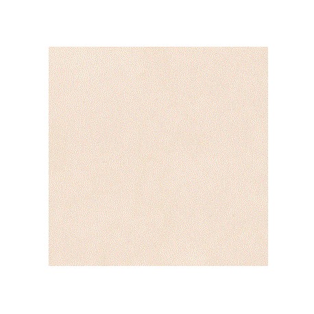 PORCEL.ROCHA RETIF.POL. 60X60 HD EVORA (NOVO)