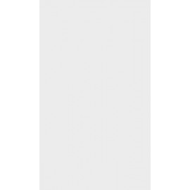 REVEST. VIVA 32,8X60,8 60029 PEI2 (NOVO)