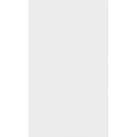REVEST. VIVA 32,8X60,8 60029 PEI2 (NOVO)