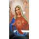 REVEST. WVS SAGRADO CORAÇÃO DE MARIA