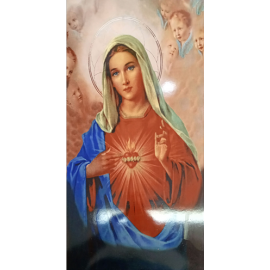 REVEST. WVS SAGRADO CORAÇÃO DE MARIA