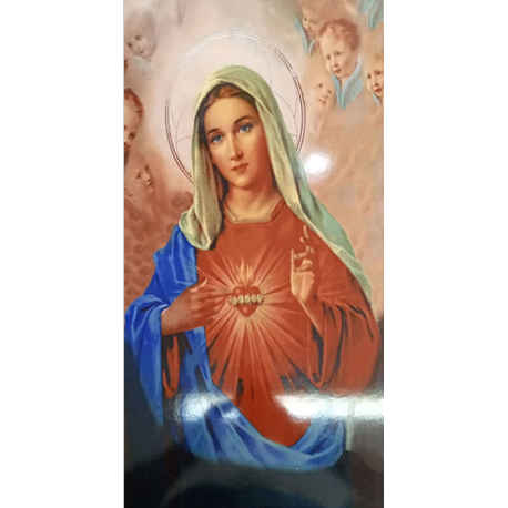 REVEST. WVS SAGRADO CORAÇÃO DE MARIA