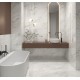PREMIUM FORM. 60X60 CATALINA POL RT LBV3 (NOVO)