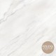 PREMIUM FORM. 60X60 LEGACY POL RT LBV3 (NOVO)