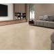 PISO STARGOLDEN 60X60 GRAFIATO BG EXT RT PEI LE